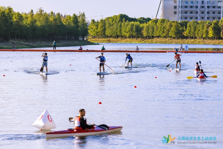 九游游戏中心-水上运动会，运动之美在水中绽放的简单介绍
