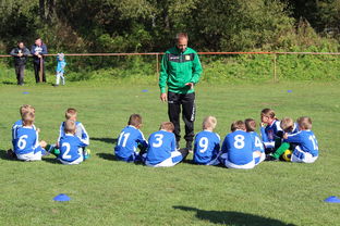 九游下载中心-德甲球队构建战术模拟平台提升临场应变能力，德甲模式