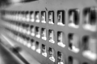 九游9游-高校运动训练科学管理模式创新实践，运动训练科研管理工作要求