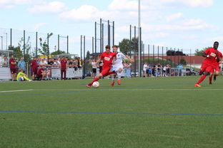 -未来足球运动场将实现环保材料全覆盖，绿色发展理念深入人心，室外足球场的运营方案